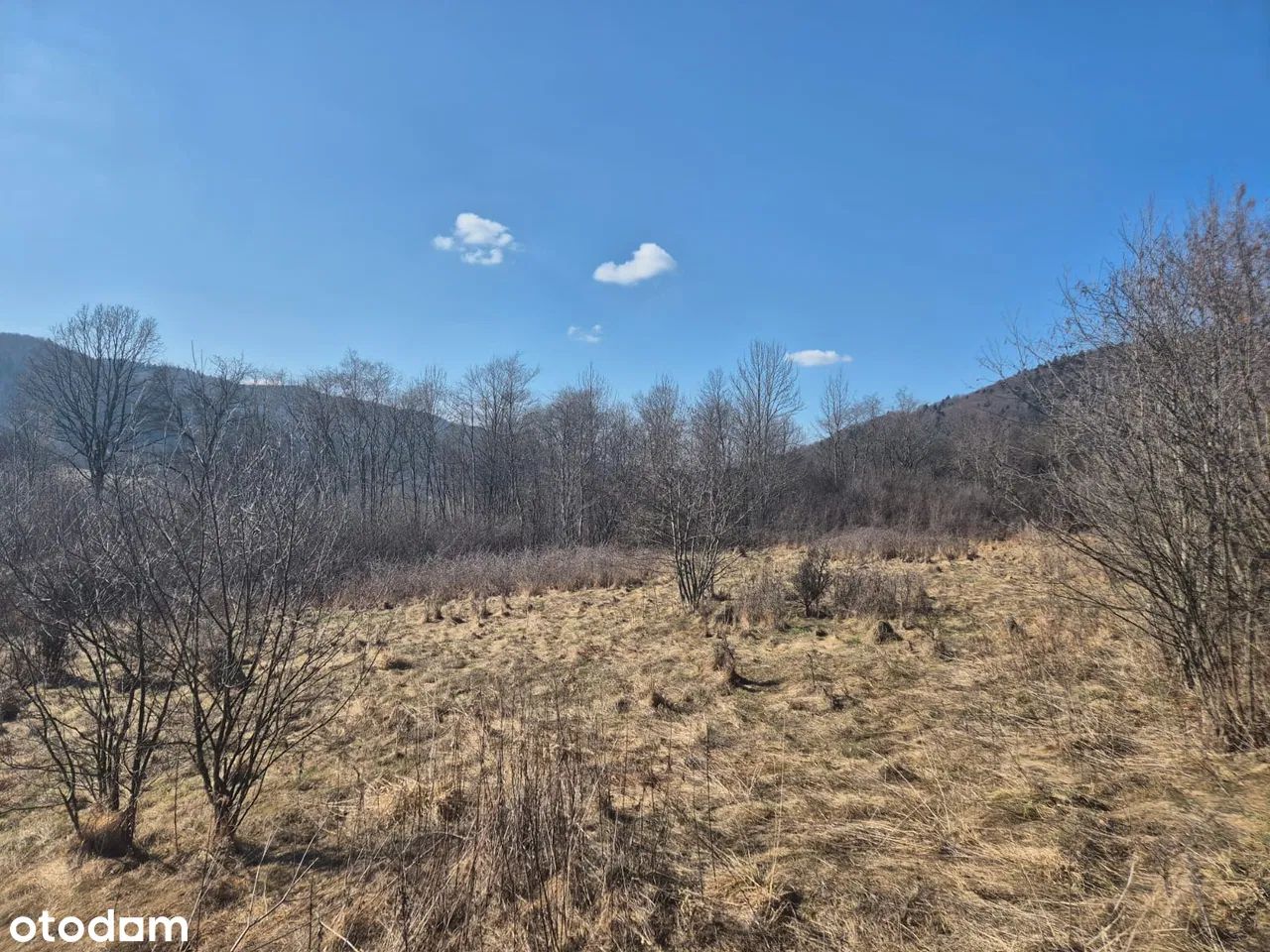 Działka budowlana Klimkówka. Zdjęcie 2