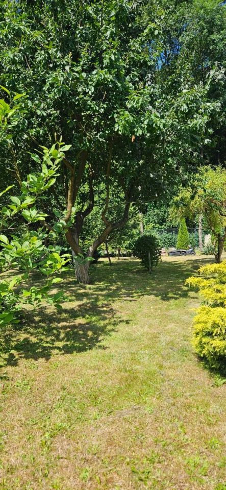 Działka rod Nakło Śląskie. Zdjęcie 4