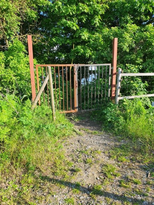 Działka rekreacyjna Lusowo. Zdjęcie 8