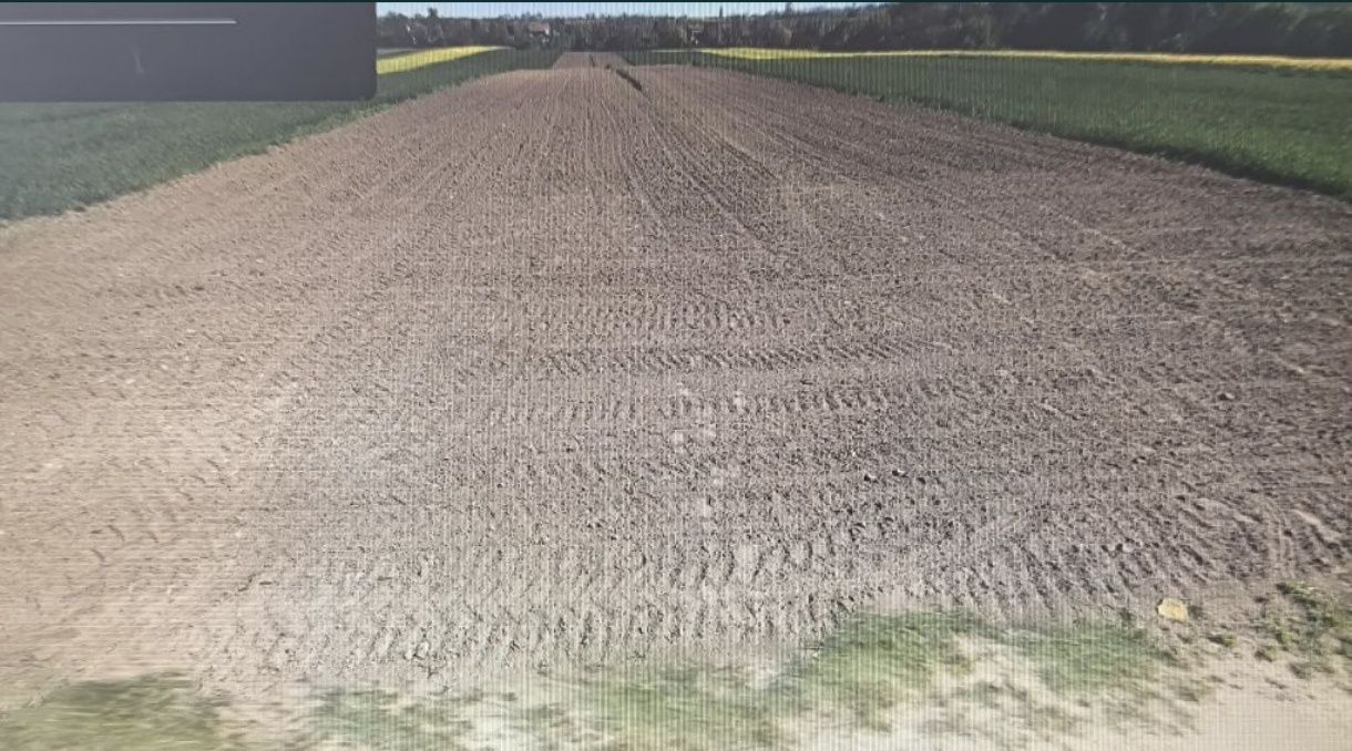 Działka rolna Kazimierza Wielka. Zdjęcie 3