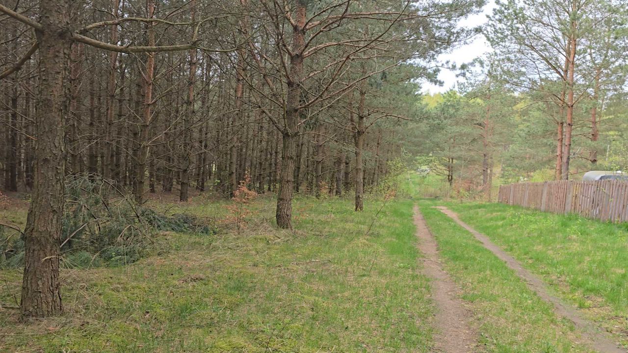 Działka leśna Ruś. Zdjęcie 4