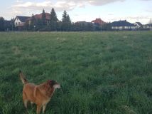 Działka budowlana Bełchatów, ul. Jesienna. Zdjęcie 3