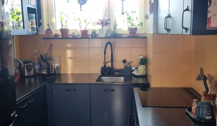 Mieszkanie 2-pokojowe Poznań Winogrady, os. Kosmonautów