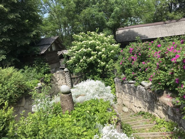 siedlisko Typin. Zdjęcie 5