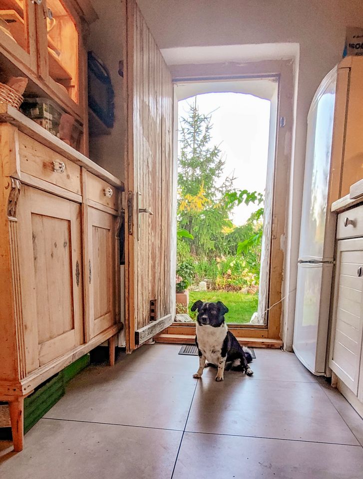 dom wolnostojący, 2 pokoje Włodowice, N. Zdjęcie 12