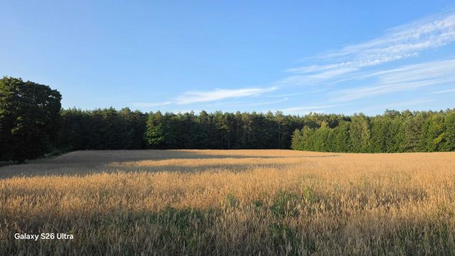 Działka budowlana Skórka. Zdjęcie 1