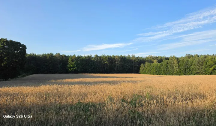 Działka budowlana Skórka