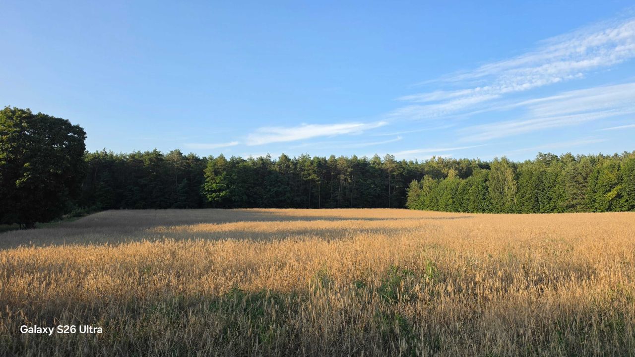Działka budowlana Skórka. Zdjęcie 1
