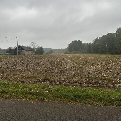 Działka rolno-budowlana Bór. Zdjęcie 1