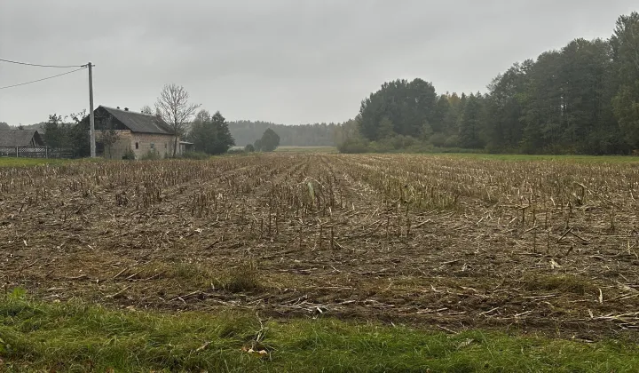 Działka rolno-budowlana Bór