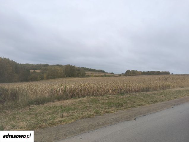 Działka budowlana Rzeszów Przybyszówka, ul. Dębicka. Zdjęcie 1
