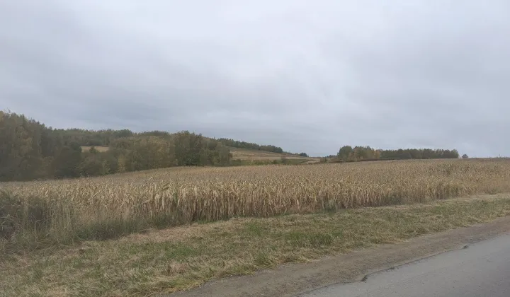 Działka budowlana Rzeszów Przybyszówka, ul. Dębicka