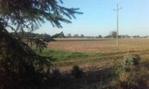 Działka budowlana Miłkowo. Zdjęcie 4