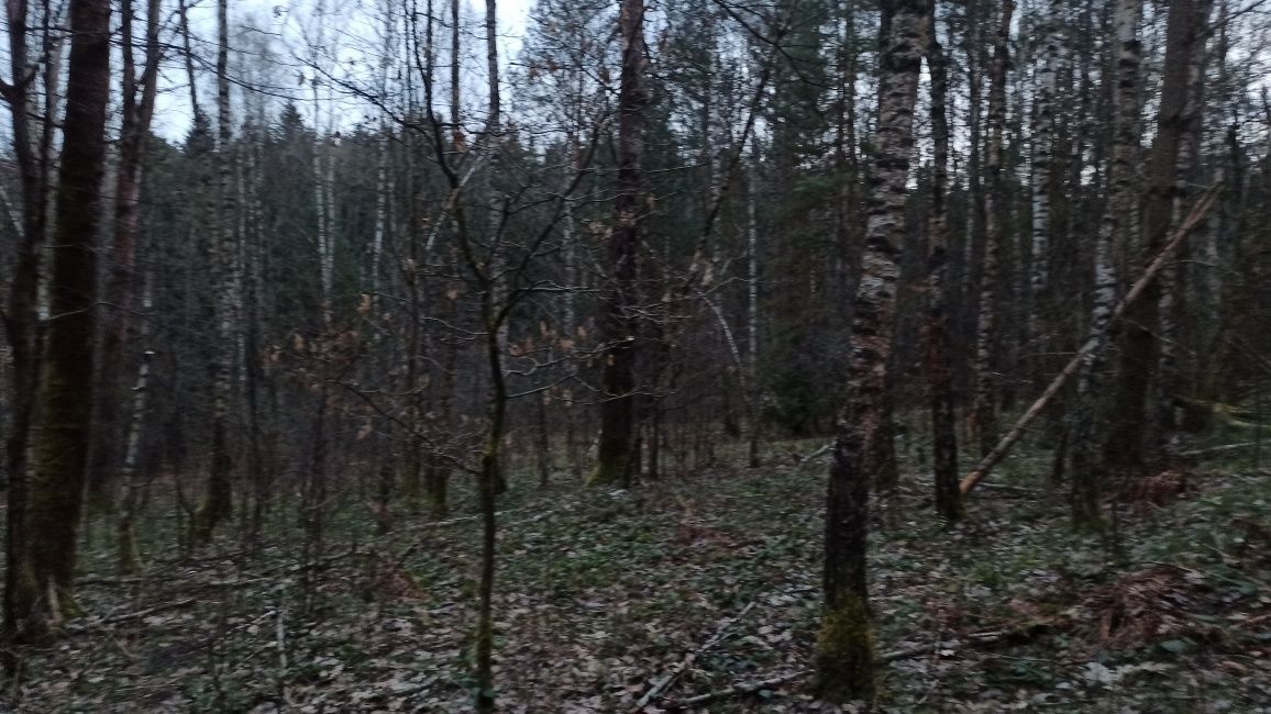 Działka Strzeszyn. Zdjęcie 7