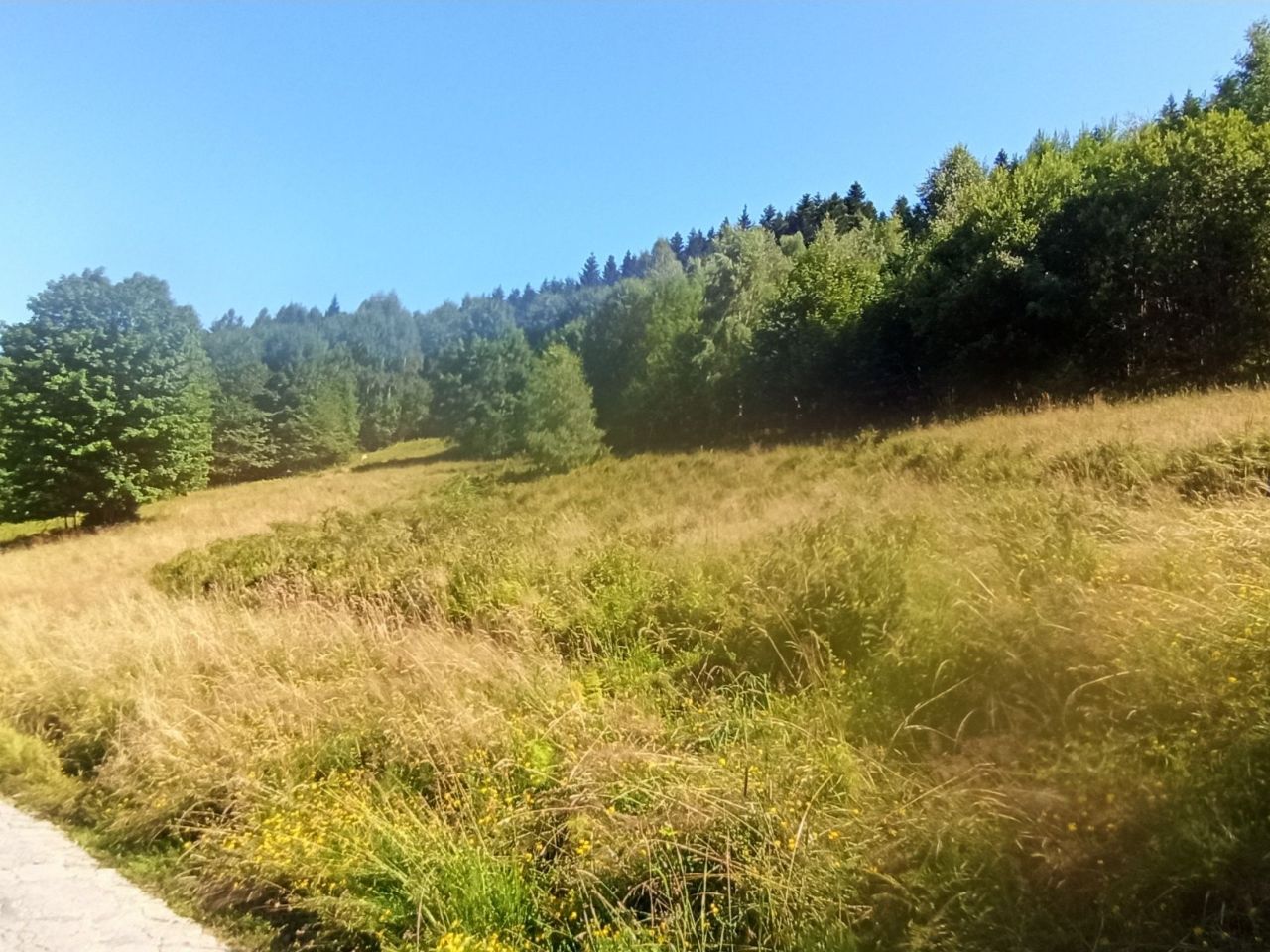 Działka rekreacyjna Zawoja. Zdjęcie 4