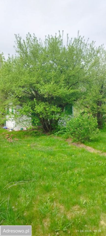 Działka rod Balice, ul. Sportowa. Zdjęcie 6