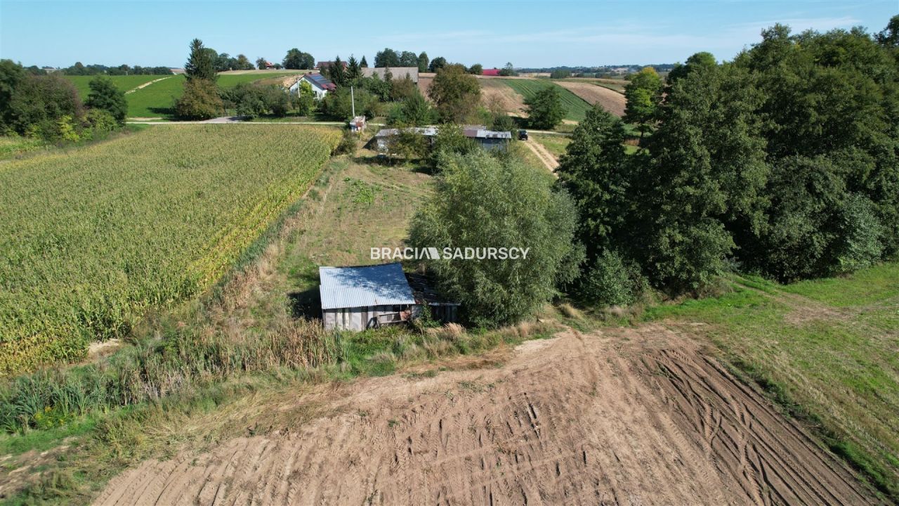 Działka rolna Kazimierza Wielka. Zdjęcie 7