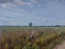 Działka budowlana Gortatowo Gortatowo-Huby, ul. Daleka