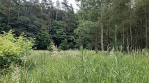Działka rolno-budowlana Dębinka. Zdjęcie 2