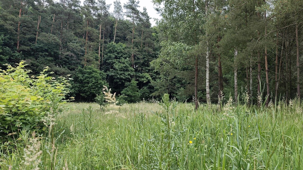 Działka rolno-budowlana Dębinka. Zdjęcie 3