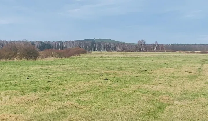 Działka rolna Smołdziński Las