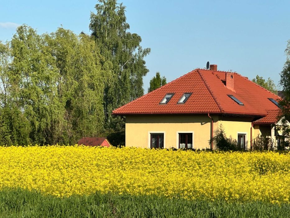 siedlisko, 5 pokoi Strzegom. Zdjęcie 2