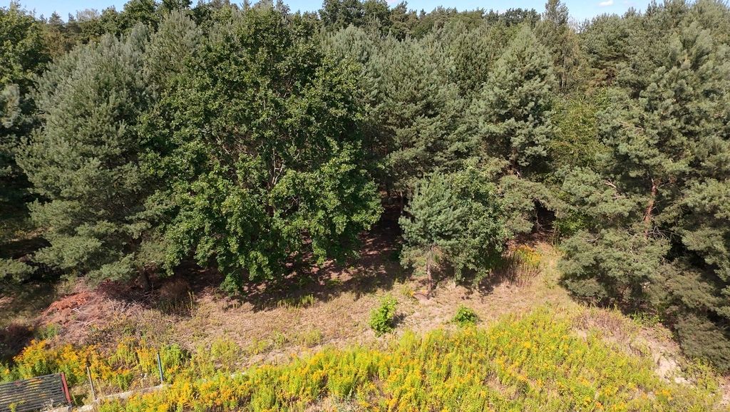 Działka budowlana Kady. Zdjęcie 2