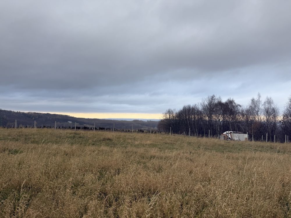 Działka rolno-budowlana Hermanowa. Zdjęcie 6