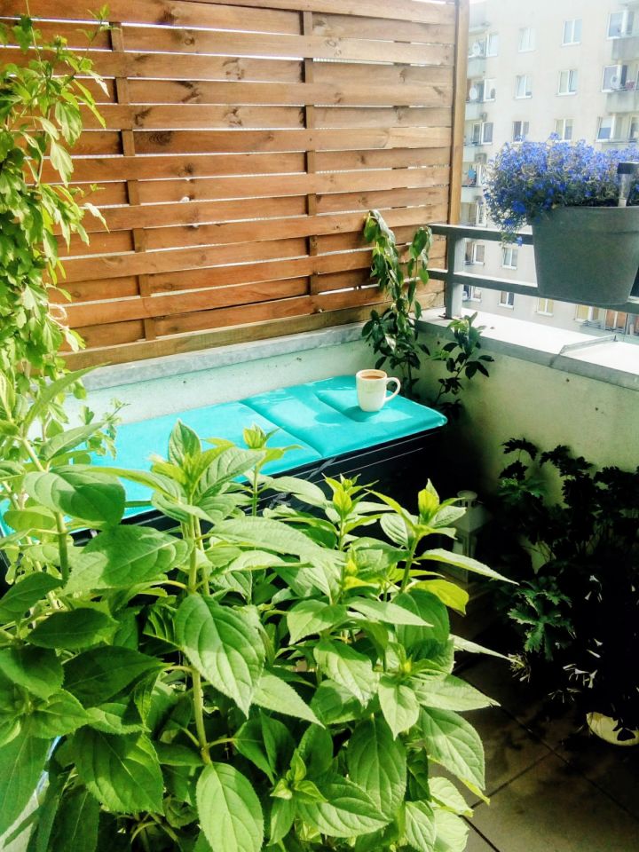 Mieszkanie 2-pokojowe Wrocław Psie Pole, ul. Litewska. Zdjęcie 15