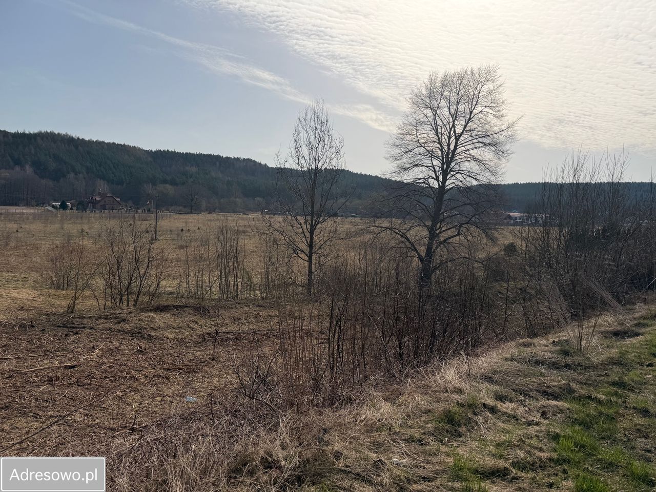 Działka inwestycyjna Lębork. Zdjęcie 4