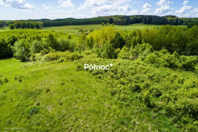 Działka rolna Radostowo. Zdjęcie 11