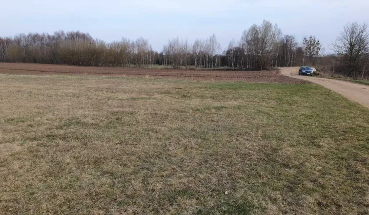 Działka rolna Królewo