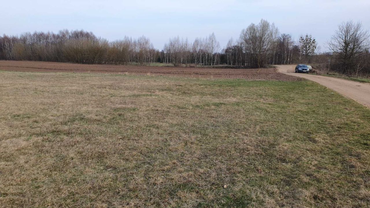 Działka rolna Królewo. Zdjęcie 1