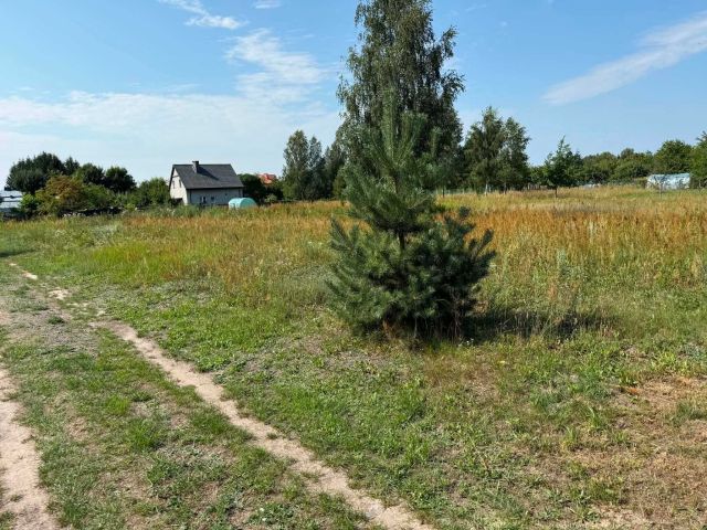Działka budowlana Ruda-Huta, ul. Szkolna. Zdjęcie 1