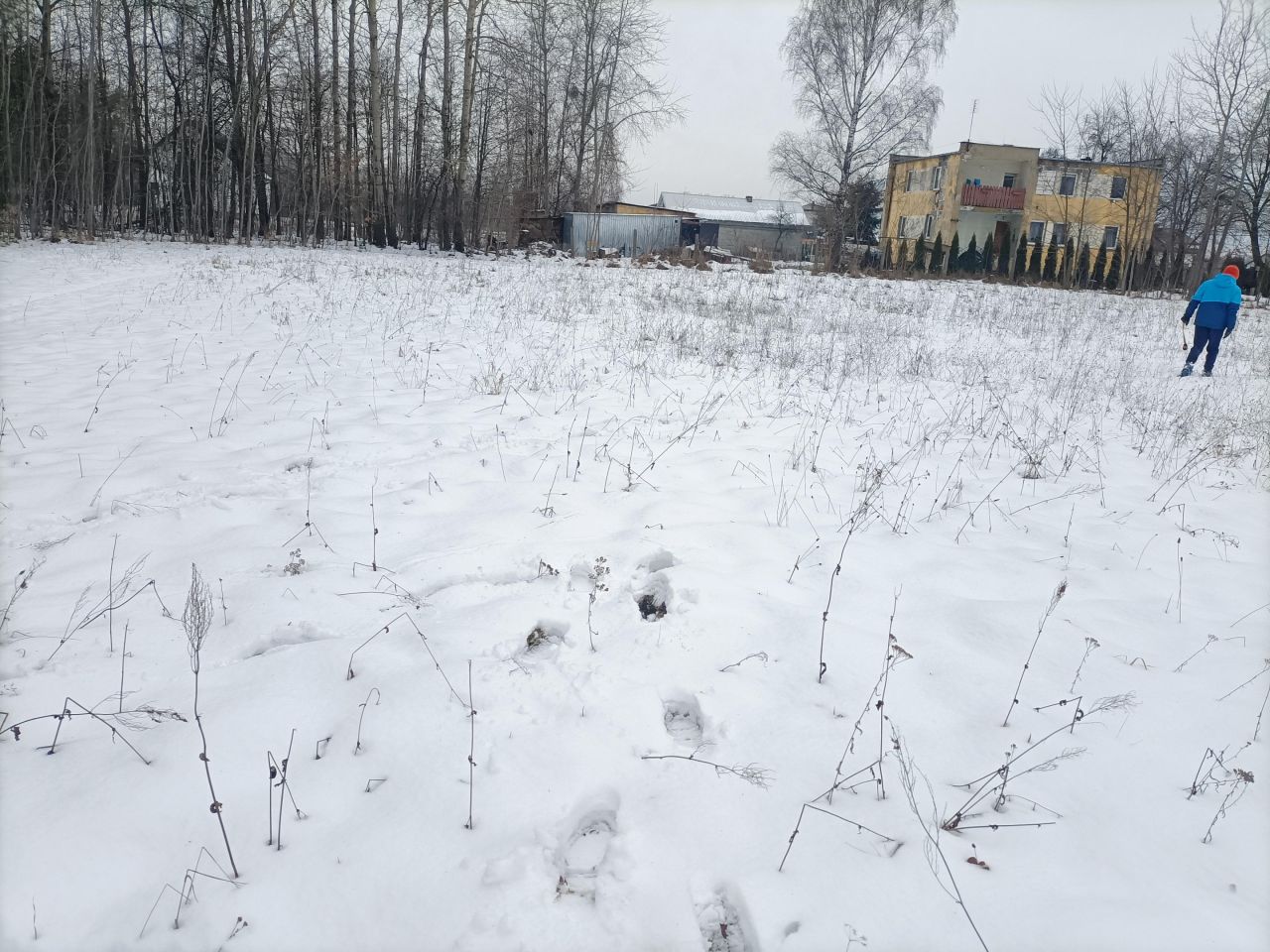 Działka rolno-budowlana Miejska Dąbrowa. Zdjęcie 6