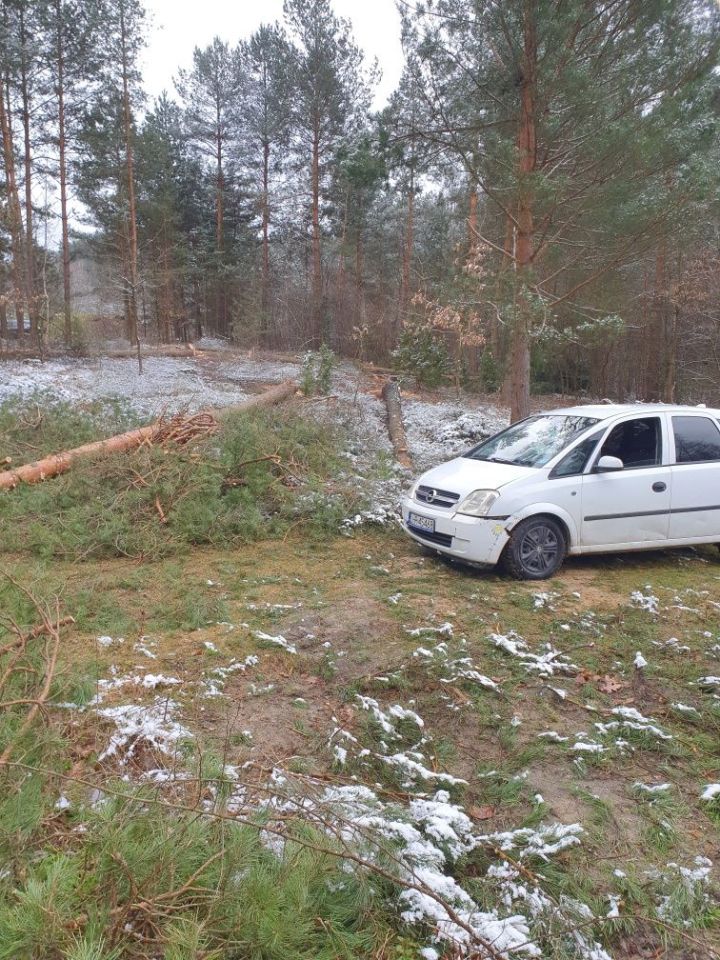 Działka rekreacyjna Nowiny. Zdjęcie 5