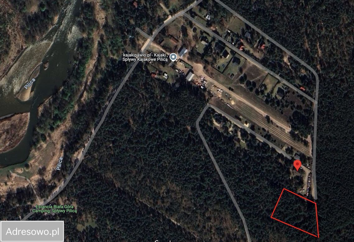 Działka leśna Biała Góra. Zdjęcie 4