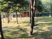 Działka budowlana Adamowizna, ul. Wilcza. Zdjęcie 4