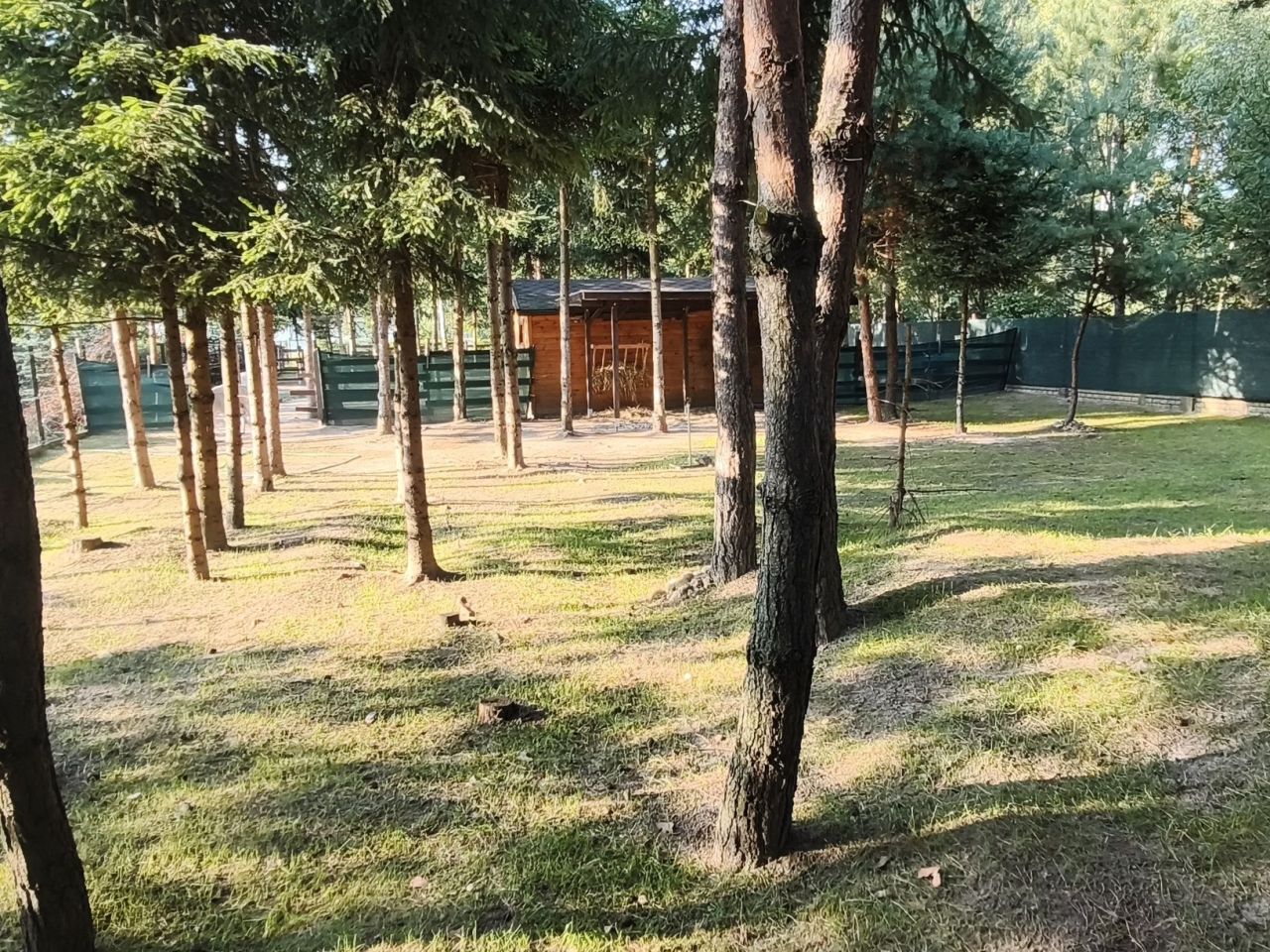 Działka budowlana Adamowizna, ul. Wilcza. Zdjęcie 5
