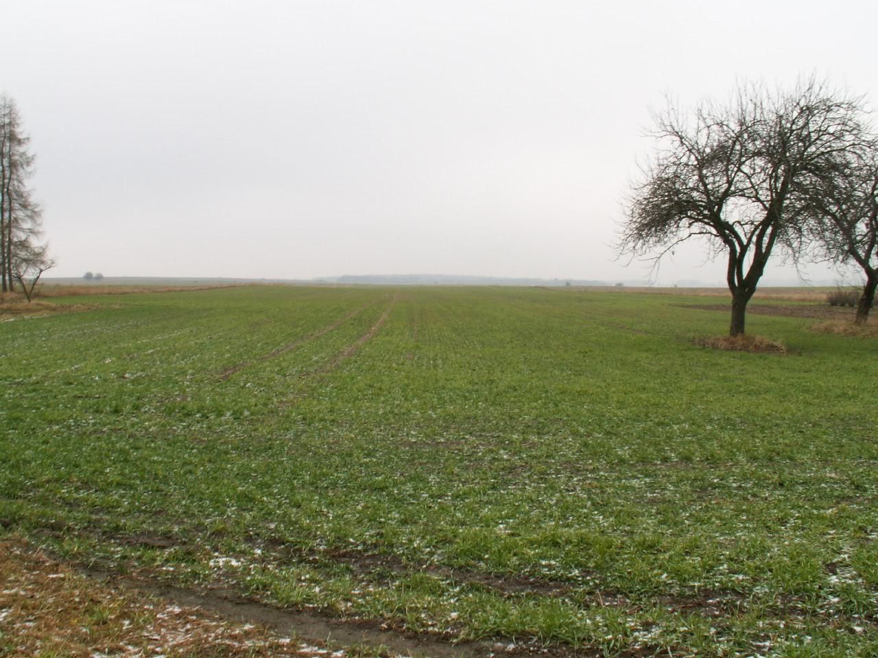 Działka rolno-budowlana Horodysko. Zdjęcie 2