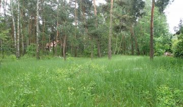 Działka budowlana Międzyborów, ul. Orzeszkowej