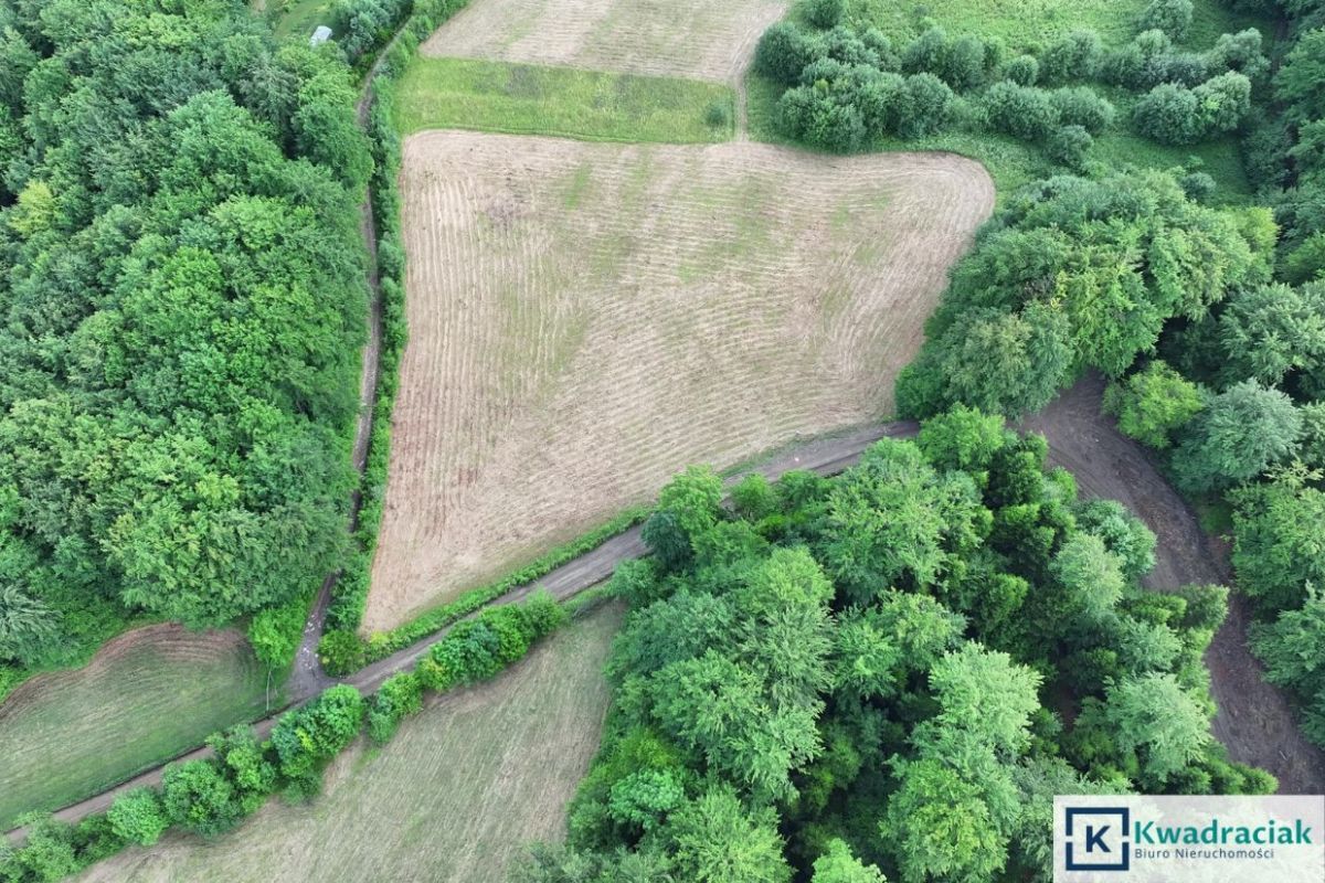 Działka siedliskowa Myczków. Zdjęcie 7