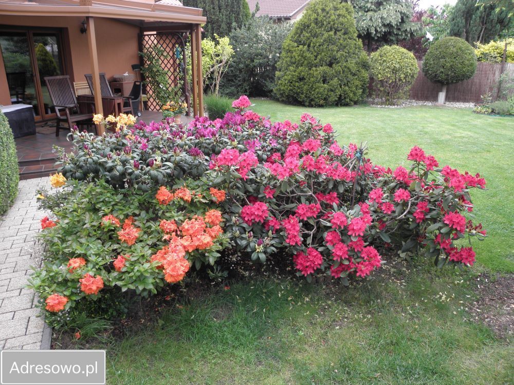 dom wolnostojący, 5 pokoi Wolica. Zdjęcie 12