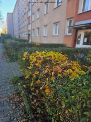 Mieszkanie 2-pokojowe Kraków Krowodrza, ul. Zdrowa. Zdjęcie 12