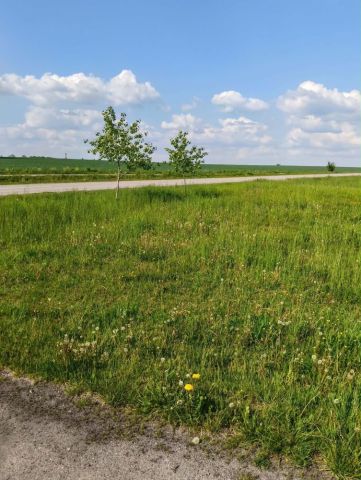 Działka budowlana Folwarki Małe. Zdjęcie 1