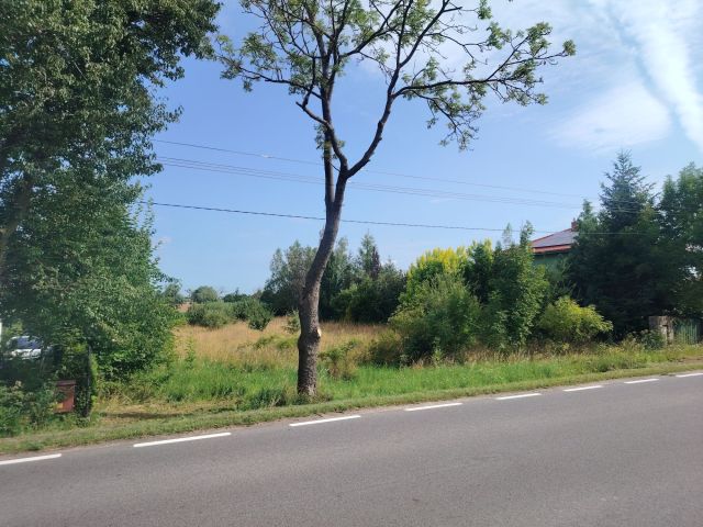 Działka rolno-budowlana Ceradz Kościelny. Zdjęcie 1