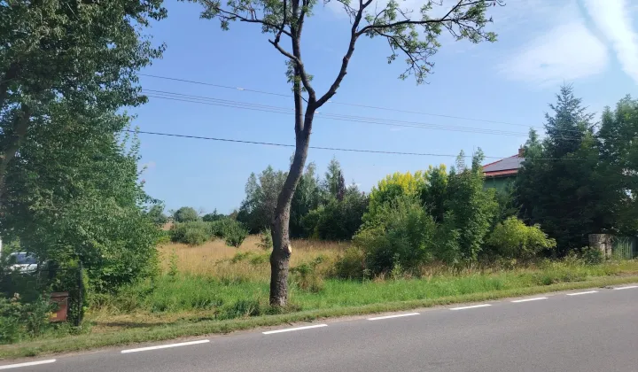 Działka rolno-budowlana Ceradz Kościelny