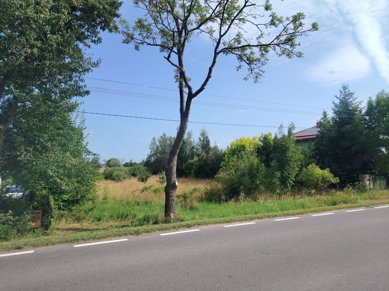 Działka rolno-budowlana Ceradz Kościelny. Zdjęcie 1