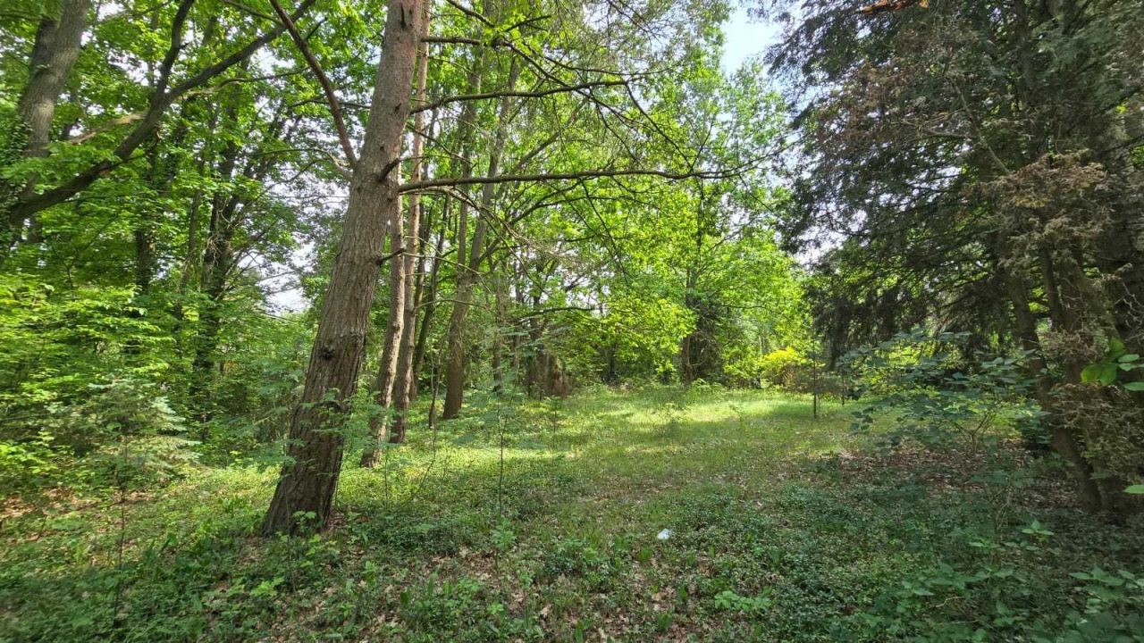 Działka budowlana Arciechów. Zdjęcie 4