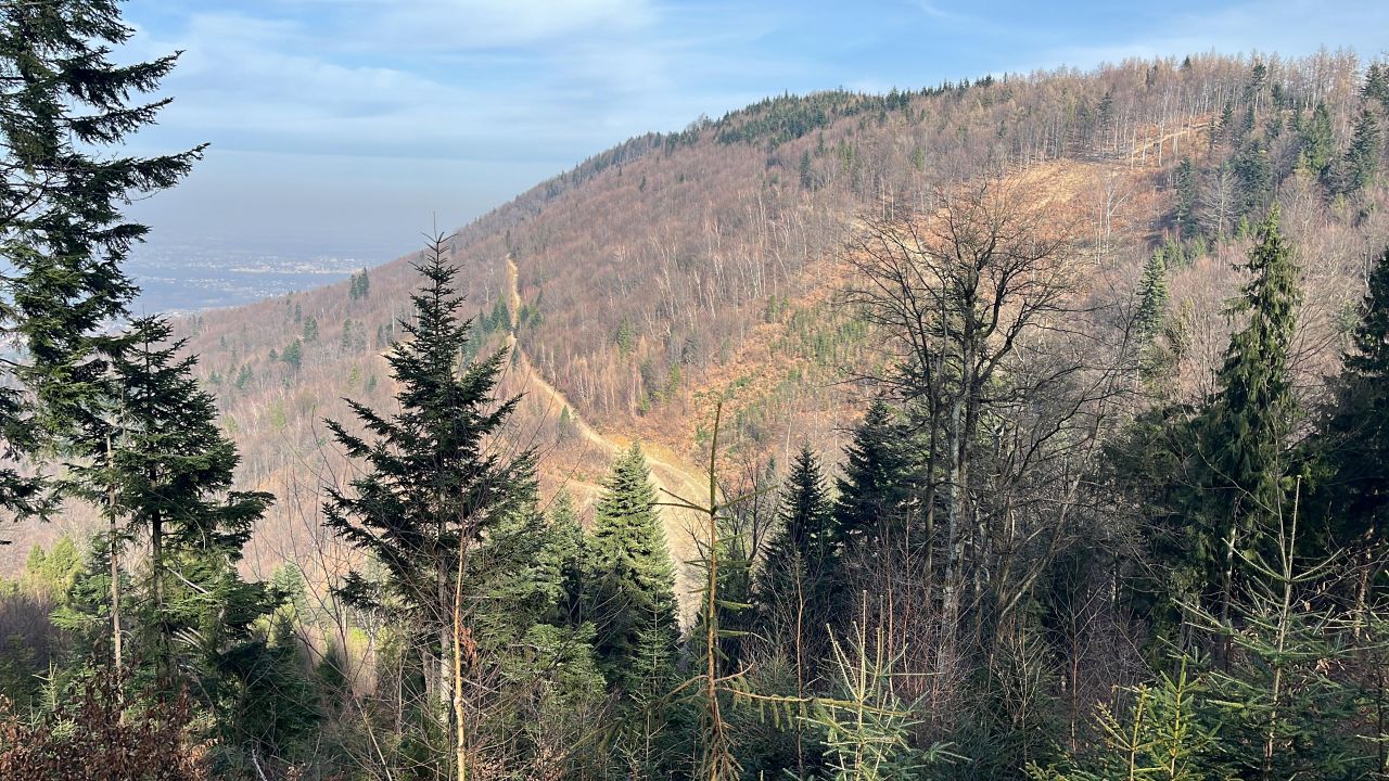 Mieszkanie 3-pokojowe Kozy Centrum, ul. Mostowa. Zdjęcie 32